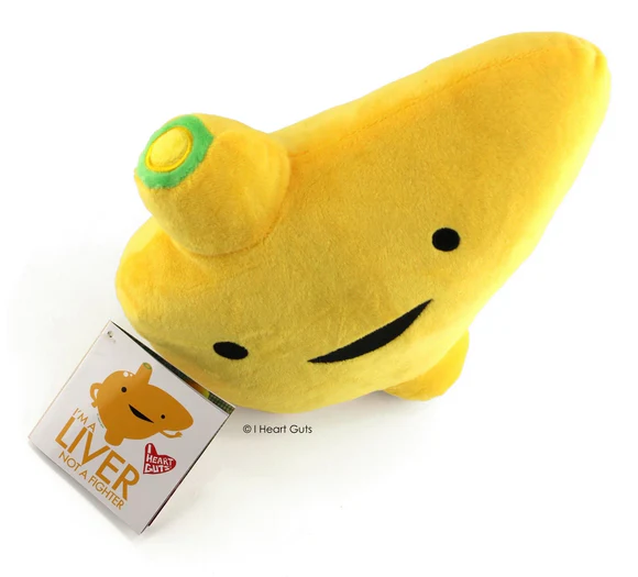 Liver - Image 4