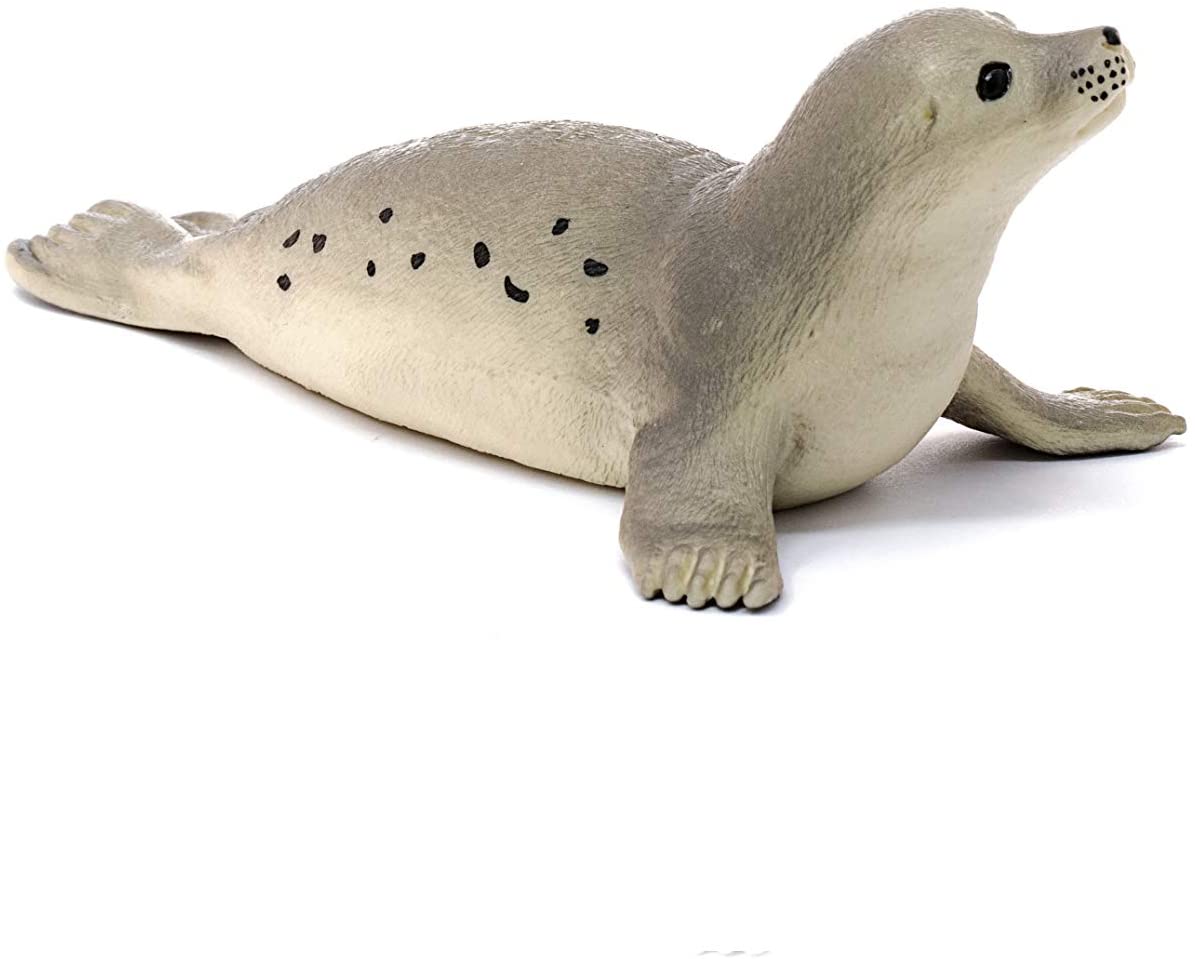Seal - Image 3