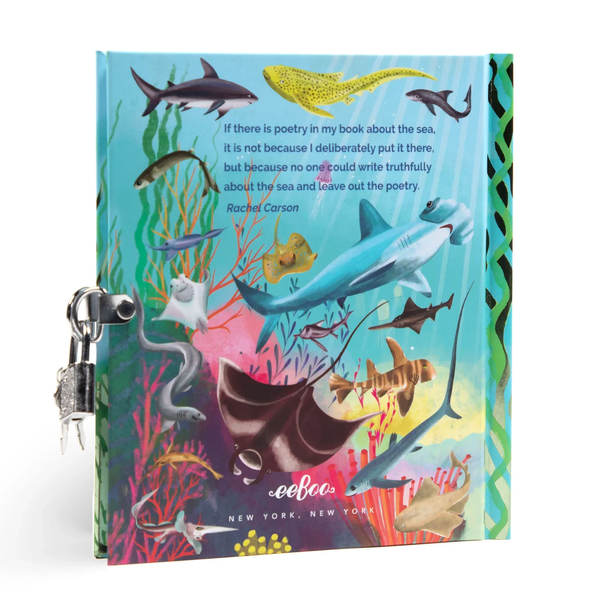Sharks & Friends Diary - Image 5